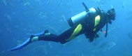Dive Gear UK
